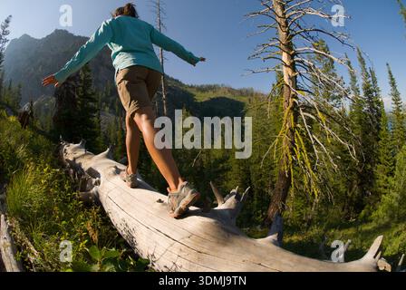 A young woman balances on a log while hiking in Grand Teton National Park, Jackson Hole, Wyoming. Stock Photo