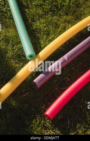 Colorful pool noodles laying on green summer grass in backyard Stock Photo