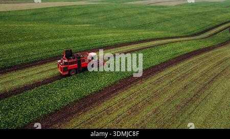 Work in progress. Aerial view of beet harvester on the green agricultural field. Stock Photo