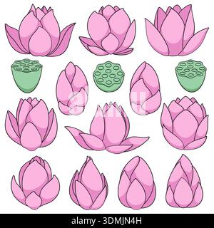 Set of color illustrations with pink lotus, flower water lily. Isolated vector objects on white background. Stock Vector