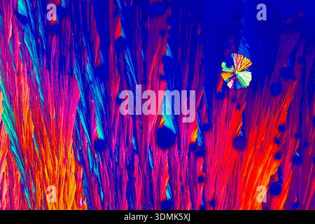 VITAMIN C CRYSTALS UNDER POLORISED LIGHT SHOWING UPWARD CRYSTAL GROWTH AND VIVID SATURATED COLOURS MAKING A DRAMATIC ABSTRACT BACKGROUND Stock Photo