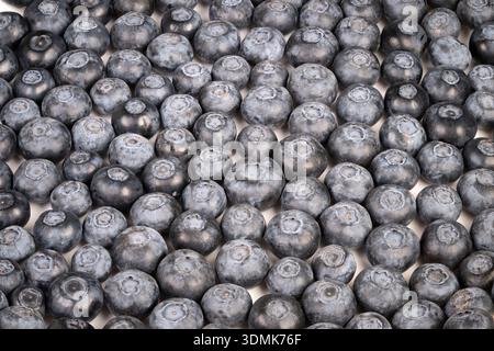 closeup blueberry texture bloom, dense repeating spheres creating tactile pattern and monochrome mosaic, ideal for background, packaging and modern fo Stock Photo