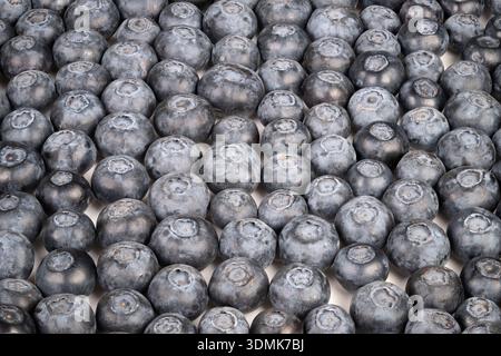 close up blueberries pattern filling frame, dusty bloom and uniform spheres creating tactile monochrome mosaic, subtle shadows and soft highlights emp Stock Photo