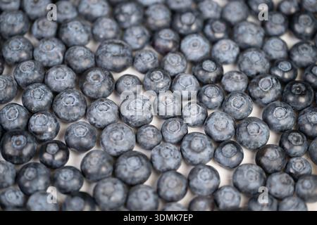 Seamless blueberry background ideal for food packaging and design, uniform repeatable texture with rich blue hues for branding applications Stock Photo