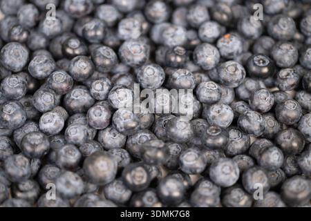 close up blueberries forming abstract pattern, repetitive circular shapes create rhythmic texture and monochrome blue palette, versatile background fo Stock Photo