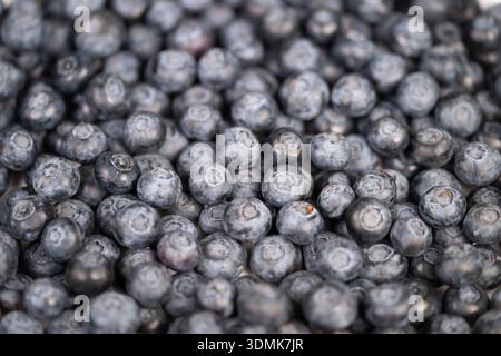 tight pattern blueberries on white surface, uniform round shapes forming modern flatlay, soft shadows and negative space for packaging mockups, clean Stock Photo