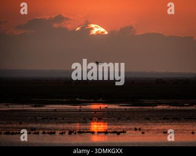 the sun is setting in Amboseli National Park, Africa and the lions are beginning to stir. The sun slips behind a cloud and reflects on the calm lake. Stock Photo