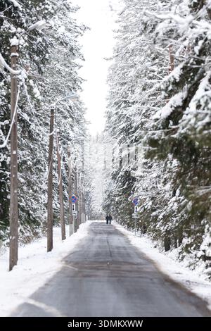 Countryside roadway with signs surrounded by spruce trees forest covered in snow on cold winter day. Stock Photo