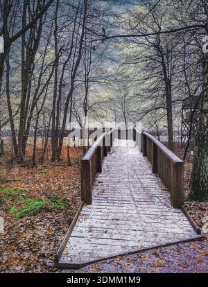 Snow-covered wooden bridge over the waters of the Baltic Sea, leading to fields and recreational areas for birdwatching, between leafless trees Stock Photo