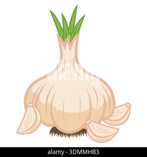 Garlic bulbs and cloves in flat style on white background Stock Vector