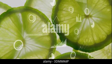 Glowing translucent lime slices overlapping in studio flat-lay, showing rinds, pulp, white overlays Stock Photo