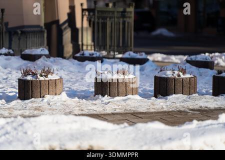 Snowy urban courtyard with round concrete planters topped by small shrubs, sunlit winter walkway and slush on paving stones, blurred railings behind, Stock Photo