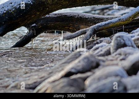 Icicles under a log in the Baltic sea. sunny afternoon on the beach Stock Photo