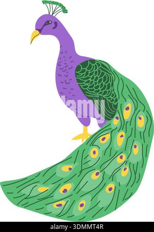 Indian peacock vector illustration isolated. Cartoon flat animal on transparent background. Peacock bird with feathers. Vector hand drawn clip art can Stock Vector