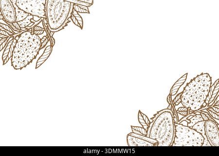 Soursop fruit ink drawing frame. Vintage design with brown outline line arts. Guanabana sliced and whole fruit on branch background in sketch style. Stock Vector