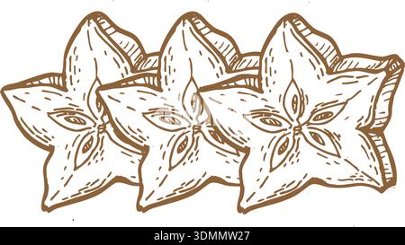 Star fruit carambola slices. Vintage linear sketch for organic food designs. Dried or fresh carambola slices isolated. Stock Vector