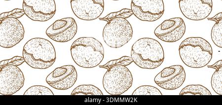 Seamless pattern with peeled and whole longan. Tropical fruits in vintage linear style. Can used for kitchen textile, wallpapers in botanical style, wrapping papers, fabric designs. Stock Vector