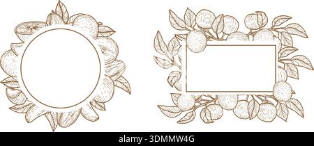 Tropical fruit star apple frame for wrapping design. Star apple fruit outline sketch background in vintage linear style. Stock Vector