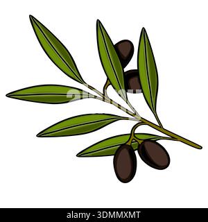 Vector illustration of a branch with dark olives and green leaves, isolated on white Stock Vector