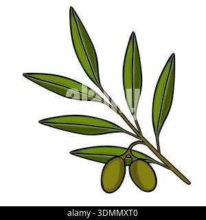 Green olive branch vector illustration with two olives and detailed leaves Stock Vector