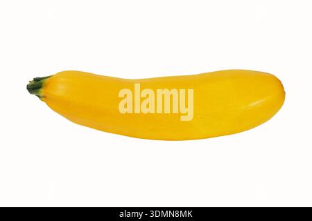 Fresh yellow zucchini on white background Stock Photo