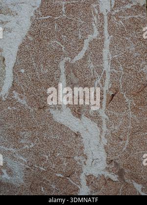 Polished rock surface with reddish brown base color and white veins. Suitable for background and text areas. Stock Photo
