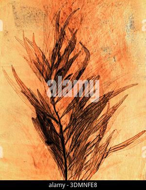 Monotype print assembled on a gelatine  plate, of a leaf of Grevillea robusta,  southern silky oak Stock Photo