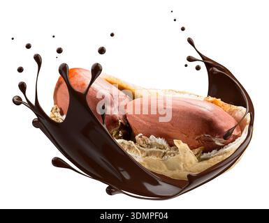 Peanuts in shell with chocolate splash isolated on white background. Stock Photo