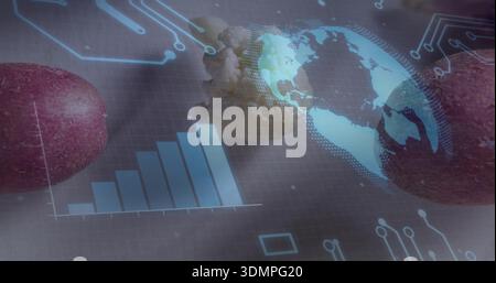 Hovering holographic globe glowing over cauliflower floret in studio, with bar chart and red apples Stock Photo