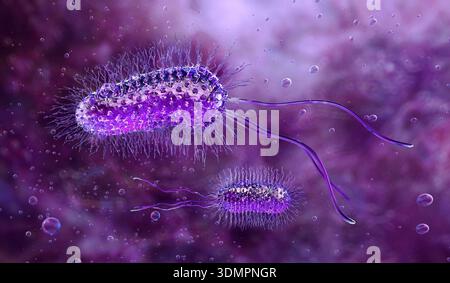 Illustration of rod-shaped bacteria. Rod-shaped bacteria include ...