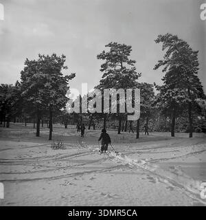 Slavyansk, Ukrainian SSR, 1960s. A group of skiers moves through a snow-covered pine forest on the city outskirts. Local residents in warm winter coats and hats enjoy cross-country skiing among tall coniferous trees. Fresh ski tracks and footprints mark the deep snow. Active weekend recreation and healthy lifestyle in the Donetsk region during the Soviet era. This archival monochrome photograph captures the tranquility of nature and the spirit of mass sports in the peaceful Donbass. Authentic view of a winter forest landscape. Stock Photo