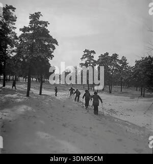 Slavyansk, Ukrainian SSR, 1960s. A group of skiers moves through a snow-covered pine forest on the city outskirts. Local residents in warm winter coats and hats enjoy cross-country skiing among tall coniferous trees. Fresh ski tracks and footprints mark the deep snow. Active weekend recreation and healthy lifestyle in the Donetsk region during the Soviet era. This archival monochrome photograph captures the tranquility of nature and the spirit of mass sports in the peaceful Donbass. Authentic view of a winter forest landscape. Stock Photo