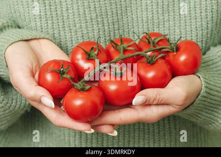 Woman holding fresh tomatoes in hands closeup. Organic vegetables and healthy food concept with natural produce indoors at home. Stock Photo