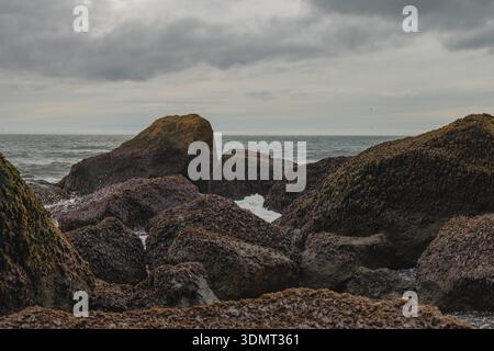 A rugged coastal scene in Iceland featuring moss covered rocks, gentle ocean waves, and an overcast sky reflecting soft light on the water. Stock Photo