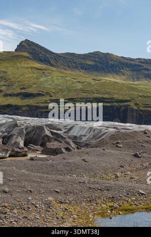 A glacier with gray and white streaks and visible crevices lies in a rocky foreground, with a moss covered mountain and clear blue sky in the backgrou Stock Photo