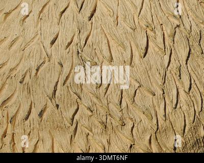 a fragment of the uneven surface of a hard object made of solidified material, with a curved and scratched structure painted light brown, part of Stock Photo