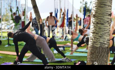 Diverse group of people practicing outdoor yoga in a park, promoting wellness Stock Photo