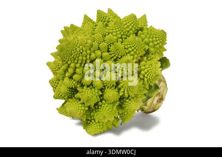 Green romanesco cauliflower on white background Stock Photo