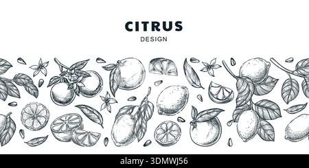 Seamless horizontal background with lemon, orange, grapefruit, lime. Vector hand drawn sketch illustration of citrus tropical fruits. Design concept f Stock Vector