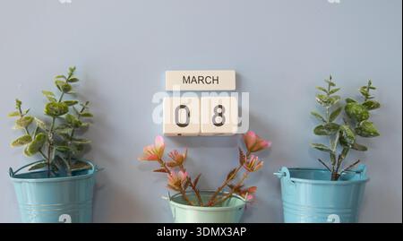 March eight calendar date with decorative plants in blue pots on light background Stock Photo