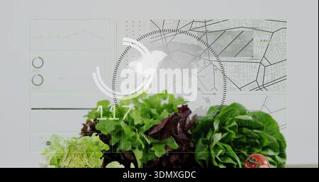 Displaying green and red lettuce with small red tomato sitting on lab surface, HUD showing 117 Stock Photo