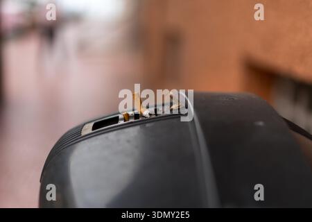 Cigarette butts in public trash bin close up street pollution Stock Photo