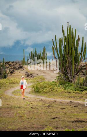 Travel down a dirt path surrounded by greenery and trees in the ...