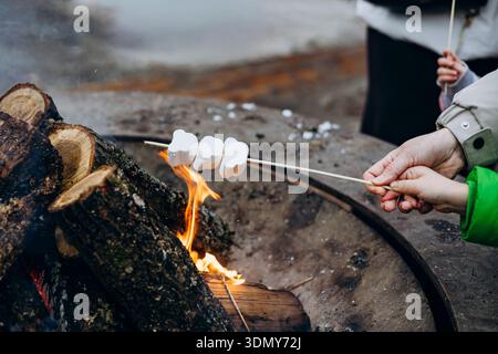 Hands hold skewers with marshmallows over an open campfire, capturing the cozy essence of winter street food during a holiday outing, perfect for fest Stock Photo
