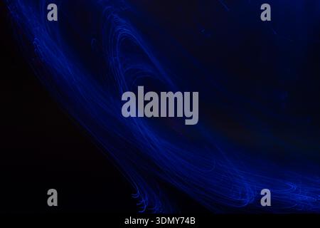 Abstract image featuring neon blue light smudges against a dark backdrop. Swirling patterns and vivid blue hues create a dynamic and mysterious visual Stock Photo