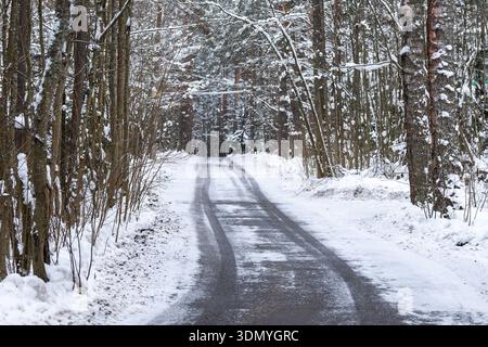 Countryside roadway surrounded by trees forest covered in snow on cold winter day. Stock Photo