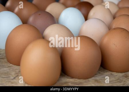 Cage free biological farm-fresh chicken eggs of various colors and sizes close up Stock Photo