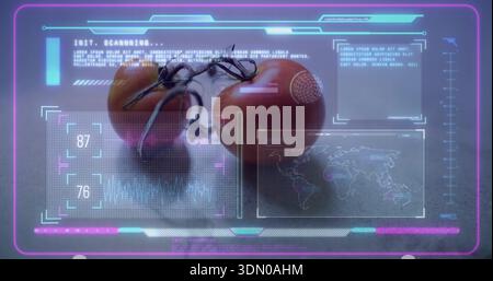 Scanning pair of ripe tomatoes on short vine at matte gray tabletop, showing HUD reticle Stock Photo