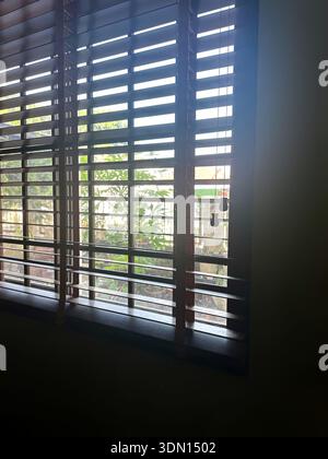 Sunlight streaming through wooden blinds with garden view outside. Stock Photo