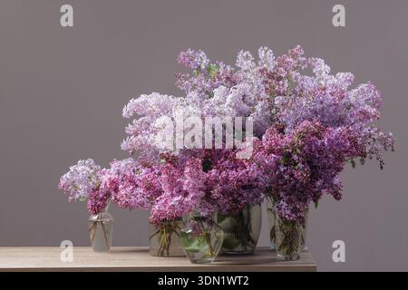 Fresh lilac bouquets arranged in glass vases on wooden table against neutral background. Perfect for spring decor advertising, floral retail branding, Stock Photo